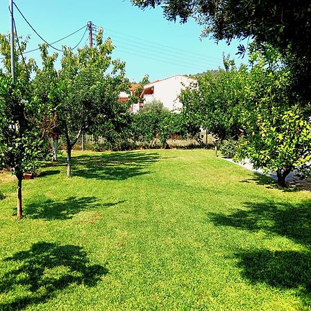 Giorgos Apartments. Skála Foúrkas المظهر الخارجي الصورة